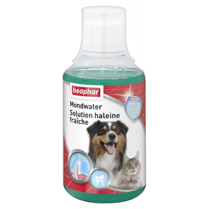 Solution haleine fraîche pour chien et chat - Beaphar BEAPHAR 8711231160082 Hygiène bucco-dentaire