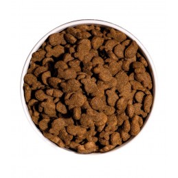 Croquettes Chien Ownat Classic Fish OWNAT  Croquettes OWNAT