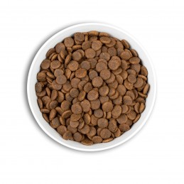 Croquettes ERA Grain Free Senior & Light pour Moyennes et grandes Races- Poulet & Dinde ERA  Croquettes ERA Millénium