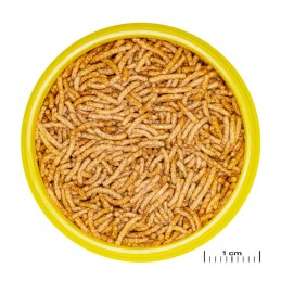 JBL ProNovo Betta - Insect Sticks - 100 ml JBL 4014162311719 Alimentation