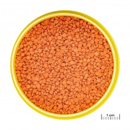 JBL ProNovo BITS Grano M JBL  Accueil