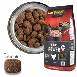 Croquettes Belcando Adult Power 12.5 kg BELCANDO 4002633557629 Croquettes Belcando