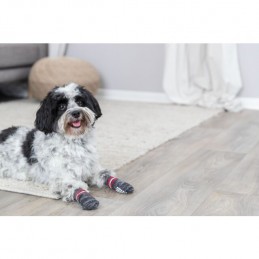 Chaussettes anti-dérapantes pour chiens – Trixie TRIXIE  Accessoires, Hygiène et soins