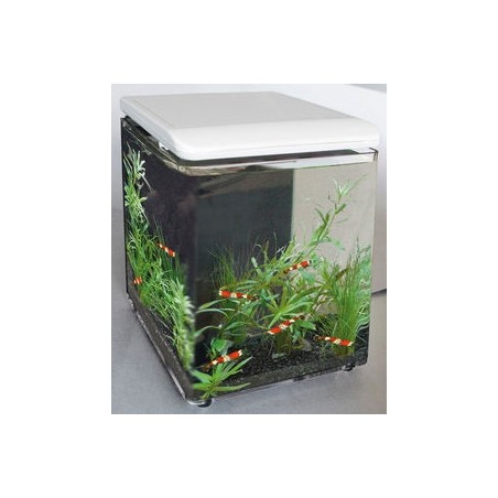 SuperFish Mini Home 8