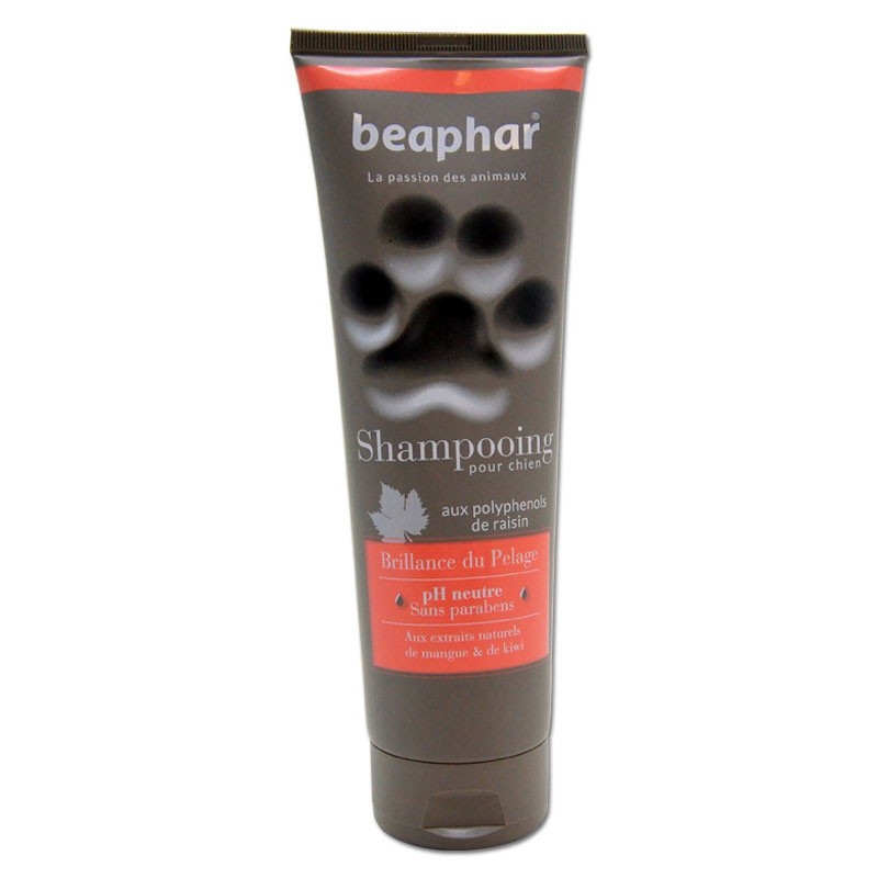Shampoing pour Chien Beaphar Brillance du Pelage BEAPHAR 8711231150205 Shampooings