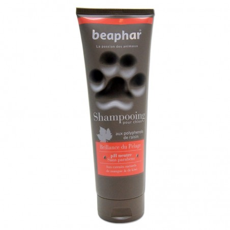 Shampoing pour Chien Beaphar Brillance du Pelage