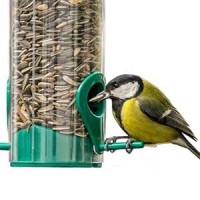 Alimentation Oiseau : Nourriture pour oiseaux