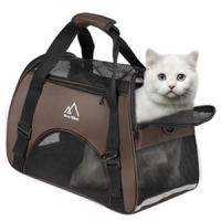 Caisse de Transport Chat & chaton - L'exotus