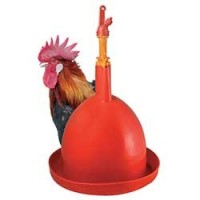 Accessoires Basse cour