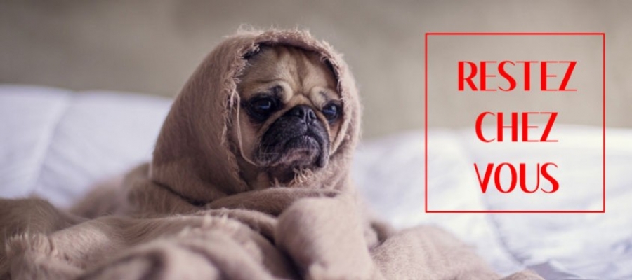 INFORMATIONS COVID-19